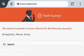 Norton Family vs Net Nanny