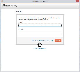 Does Net Nanny Work on Safari